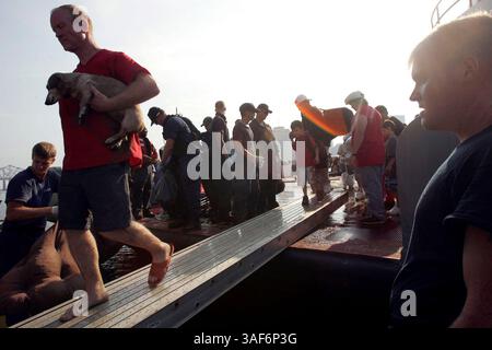 31. August 2005; New Orleans, LA, USA; Hunderte von Flüchtlingen, die aus St. Bernard Parish gerettet wurden, werden von einem Lastkahn am Algiers Ferry Terminal auf der anderen Seite des Mississippi River von der Innenstadt von New Orleans aus unterstützt. Obligatorischer Credit: Foto von Lisa Krantz/San Antonio Express/ZUMA Press. (©) Copyright 2005 Lisa Krantz/San Antonio Express Stockfoto