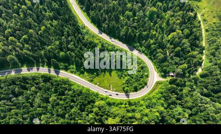 Gewundene Bergstraße durch dichten grünen Wald. Aus der Vogelperspektive auf eine kurvenreiche Straße, die durch einen üppigen, dichten Wald in einer bergigen Gegend führt, mit Autos Stockfoto