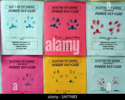 NP.105995.- LIEFERUNG AN:. NP DESK.- 22.6.2000.- TARPON SPRINGS.- CAPTION INFO:. Nr. 3.) An der Wand hängen Pfotenabdrücke von Kunden in der Tagesbetreuung von Maritime PET Kennel in Tarpon Springs. - Die Leute bringen ihre Hunde dorthin und können bis zu 12 Stunden am Tag bleiben. Sie haben Aktivitäten für die Hunde, und sie lassen die Hunde auch herumlaufen und spielen auf eigene Faust. Einige der Hunde bilden Cliquen. Wenn Hunde böse sind, gehen sie auf Auszeit. Times Foto von:. Jim Damaske.-- Geschichte Von:. Kati Gazella.- -. GESCANNT VON:..- - RUNDATE: .6/25/2000 (Kreditbild: St. Petersburg Times/ZUMAPRESS.com) Stockfoto