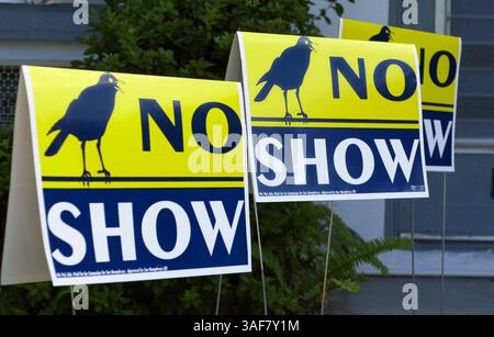 NP.112310.- - LIEFERUNG AN:. NP Desk.- -.10/24/2000..CLEARWATER.- -. BILDINFORMATIONEN:. DAS IST Ein DIGITALES BILD, das Demokrat Sue Humphreys, der sich gegen Larry Crow beim Rennen im House District 49 stellt, hat 300 Schilder erfunden, die wie Crows Schilder aussehen, aber sie sagen: „No Show“. Humphreys unterschreibt vor ihrem Wahlkampfbüro. Times Foto von:. Jim Damaske. Story Von:.Gazella.--. GESCANNT VON:..- - AUSFÜHRUNGSDATUM: .10.25/2000 (Kreditbild: St. Petersburg Times/ZUMAPRESS.com) Stockfoto