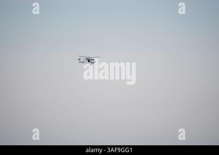Royal Navy Agusta Westland Wildcat AW159 Hubschrauber im Tiefflug Stockfoto