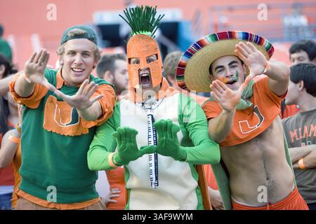 17. September 2009: Die Fans der Miami Hurricanes fahren in der zweiten Halbzeit auf ihre Heimmannschaft. Die Miami Hurricanes besiegten Georgia Tech Yellow Jackets – 33 zu 17 im Dolphin Stadium in Miami FL (Credit Image: SGM/ZUMAPRESS.com) Stockfoto