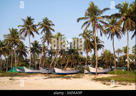 Boote am Colva Strand in Goa, Südindien, Palmen an der tropischen Westküste, Arabisches Meer in Asien, Urlaubsziel Stockfoto