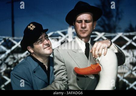 Juni 1950; Hollywood, Kalifornien, USA; 1950, ABGEBILDET: BUD ABBOTT, HINTERHOF, COMEDY-ROUTINE, COMEDY-TEAM, LOU COSTELLO... (Kreditbild: Austral/ZUMAPRESS.com) Stockfoto