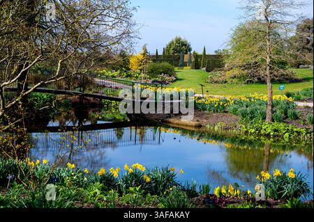 Unterer Teich, mit Brücke gegenüber bei RHS Hyde Hall. Im Spätfrühling Royal Horticultural Society Garden, Essex. Stockfoto