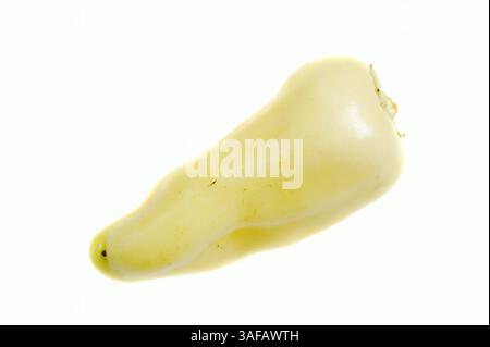 Paprika oder roter Pfeffer (Capsicum annuum), Frucht auf weißem Hintergrund | Paprika (Capsicum annuum), Paprikaschote auf weißem Hintergrund Stockfoto
