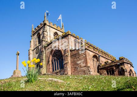 Frühlingsansicht der Pfarrkirche St. James der große im Cheshire-Dorf Audlem, mit Narzissen, die um den Hügel wachsen, auf dem sie steht Stockfoto