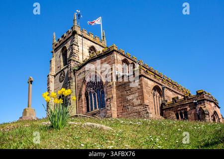 Frühlingsansicht der Pfarrkirche St. James der große im Cheshire-Dorf Audlem, mit Narzissen, die um den Hügel wachsen, auf dem sie steht Stockfoto