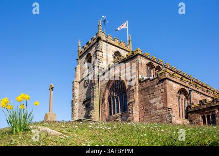 Frühlingsansicht der Pfarrkirche St. James der große im Cheshire-Dorf Audlem, mit Narzissen, die um den Hügel wachsen, auf dem sie steht Stockfoto