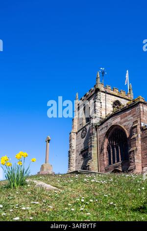 Frühlingsansicht der Pfarrkirche St. James der große im Cheshire-Dorf Audlem, mit Narzissen, die um den Hügel wachsen, auf dem sie steht Stockfoto