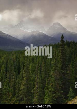 116 nebelbedeckte Gipfel des Mount Erasmus E1 (3113 m) und NE1 (2836 m) im North Saskatchewan River Valley, vom Howse Pass Aussichtspunkt aus gesehen. Banff-ab-Kanada Stockfoto