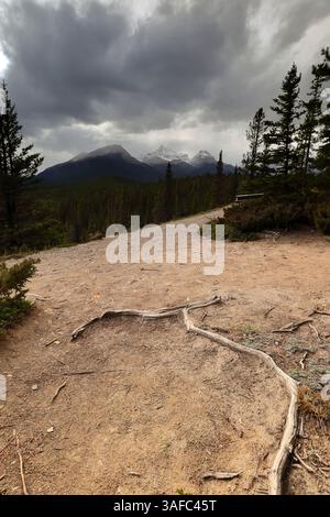 118 North Saskatchewan River Valley, Peaks (L-R) Survey (2667 m), Mount Erasmus E1 (3113 m) und NE1 (2836 m), vom Aussichtspunkt Howse Pass. Banff-ab-Kanada. Stockfoto