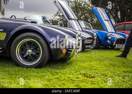 Bristol, Großbritannien, 13. August 2023: Shelby Cobras bei einem Autotreffen. Stockfoto