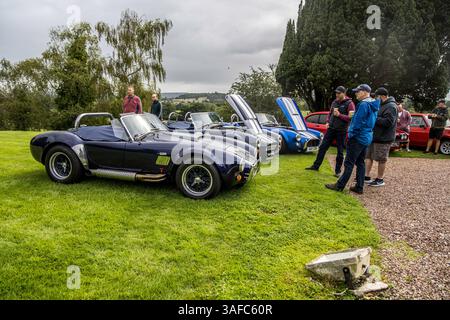 Bristol, Großbritannien, 13. August 2023: Shelby Cobras bei einem Autotreffen. Stockfoto