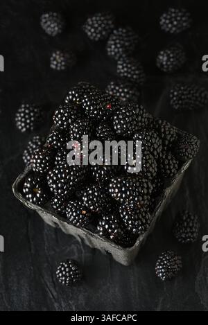 BlackBerry Stillleben. Frisch gepflückte Brombeeren in einem schwarzen Pappkorb auf schwarzem Schiefer. Stockfoto
