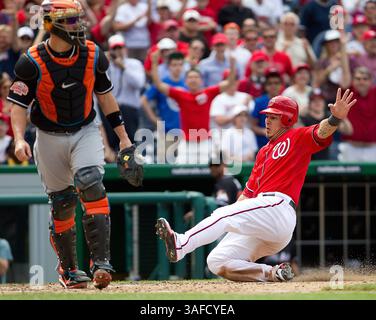 21. April 2012 - Washington, DC, USA - Washington Nationals Catcher Wilson Ramos (3) erzielt den Siegerlauf vor Miami Marlins Catcher John Buck (14), nachdem Ian Desmond (20) eine Opferfliege trifft, um im Spiel zu fahren Siegerlauf gegen die Miami Marlins während des zehnten Inning im Nationals Park in Washington, D. C, Samstag, 21. April 2012. Washington besiegte Miami 3-2 in 10 Innings. (Bild: © Harry E. Walker/MCT/MCT/ZUMAPRESS.com) Stockfoto