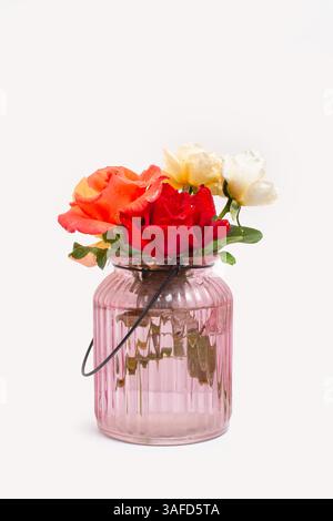 Farbige Rosen in einer rosafarbenen Glasvase mit Wasser auf weißem Hintergrund mit Kopierraum Stockfoto