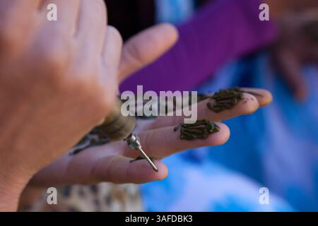 16. Oktober 2010 - Foum Zguid, Tata, Marokko - das von ihnen hergestellte Henna ist zertifiziert â€ naturalâ€, da es nicht aus schädlichen chemischen Substanzen besteht. Frauen aus umliegenden Dörfern verwenden es, um ihre Haut zu reinigen, zu verschönern und zu reinigen. Es ist auch beliebt für Haarfärbungen und Dekorationen an Händen und Füßen von Frauen bei Hochzeiten. (Bild: © David Fabrega/ZUMAPRESS.com) Stockfoto