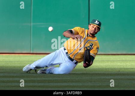 7. Juli 2012 - Oakland, CA, USA - der Oakland Athletics Center Fielder Coco Crisp kann am Samstag, 7. Juli 2012, im ersten Inning im O.Co Coliseum in Oakland, Kalifornien, keinen Fliegenball von John Jaso fangen. (Bild: © Ray Chavez/Oakland Tribune/MCT/ZUMAPRESS.com) Stockfoto