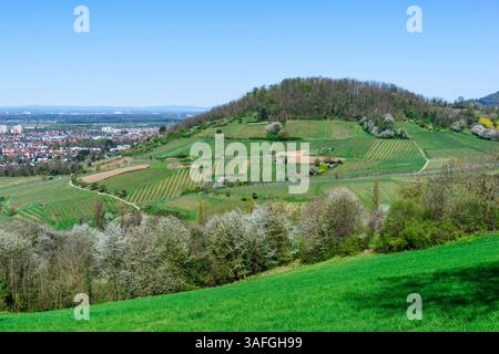 Bergstraße Landschaft bei Bensheim (Bergstraße/Deutschland) Stockfoto
