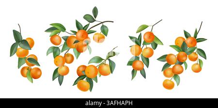Aquarell orange. Mandarinen-Fruchtbaum, Zweigblattmalerei für Saft, tropisches Zitrus-Dessert oder saftige frische Lebensmittel. Sommerpflanzen. Botanisches isoliertes Grafikelement zur Dekoration. Vektorillustration Stock Vektor