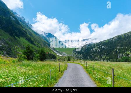 Ein malerischer gepflasterter Pfad schlängelt sich durch saftig grüne Wiesen und pulsierende Landschaften in der Schweiz, umgeben von majestätischen schneebedeckten Bergen und A Stockfoto