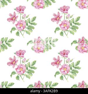 Nahtloses Muster Rosa Wildrose am Stiel mit Aquarellillustration auf weiß. Hagebuttenblütendruck handgezeichnete botanische Skizze zum Drucken von o Stockfoto