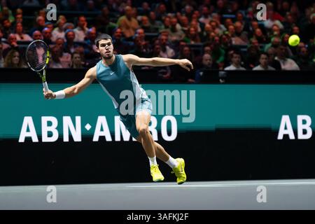 Rotterdam, Niederlande. Februar 2025. ROTTERDAM, NIEDERLANDE - 7. FEBRUAR: Carlos Alcaraz während der ABN AMRO Open in Rotterdam Ahoy am 7. Februar 2025 in Rotterdam, Niederlande. (Foto von Marleen Fouchier/Orange Pictures) Credit: Orange Pics BV/Alamy Live News Stockfoto
