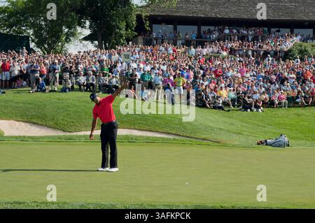 3. Juni 2012: Tiger Woods beobachtet seinen Birdie-Putt auf dem 18. Grün während der Finalrunde des Memorial Turniers im Muirfield Village Golf Club in Dublin, Ohio (Credit Image: © Scott Terna/Cal Sport Media/ZUMAPRESS.com) Stockfoto