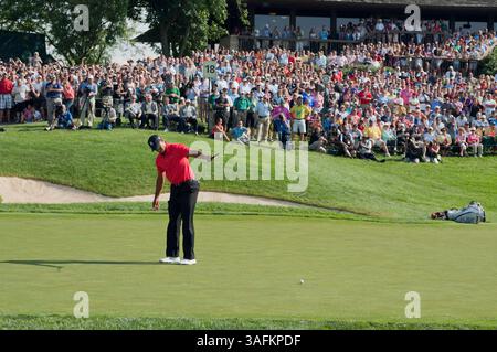 3. Juni 2012: Tiger Woods beobachtet seinen Birdie-Putt auf dem 18. Grün während der Finalrunde des Memorial Turniers im Muirfield Village Golf Club in Dublin, Ohio (Credit Image: © Scott Terna/Cal Sport Media/ZUMAPRESS.com) Stockfoto