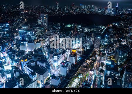 Skyline von Tokio von oben Stockfoto