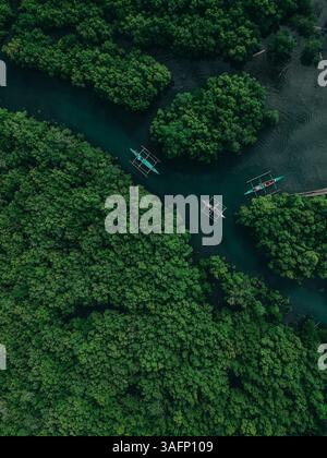 Aus der Vogelperspektive sehen Sie traditionelle philippinische Boote, die durch üppige Mangrovenwälder auf den Philippinen navigieren und die natürliche Schönheit und Artenvielfalt zeigen Stockfoto