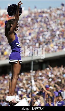 22. September 2012 - Fort Worth, TX, USA - Ein christlicher Cheerleader aus Texas versammelt die Fans während der ersten Hälfte der Gridiron-Action gegen Virginia am Samstag, den 22. September 2012, in Fort Worth, Texas. im Amon G. Carter Stadium in Fort Worth, Texas. TCU besiegte Virginia mit 27:7. (Kreditbild: © Brandon Wade/MCT/ZUMAPRESS.com) Stockfoto