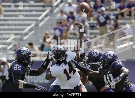 22. September 2012 - Fort Worth, TX, USA - die christliche Verteidigung von Texas drückt Virginia Quarterback Phillip Sims (14) während der zweiten Halbzeit am Samstag, 22. September 2012, in Fort Worth, Texas, im Amon G. Carter Stadium in Fort Worth, Texas. TCU besiegte Virginia mit 27:7. (Kreditbild: © Brandon Wade/MCT/ZUMAPRESS.com) Stockfoto