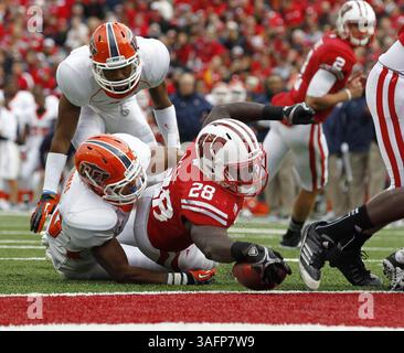22. September 2012 - Madison, WI, USA - Wisconsins Montee Ball (28) erzielt im zweiten Quartal einen Touchdown gegen die University of Texas-El Paso im Camp Randall Stadium in Madison, Wisconsin, Samstag, 22. September 2012. Wisconsin besiegte UTEP 37-26. (Kreditbild: © Rick Wood/MCT/ZUMAPRESS.com) Stockfoto