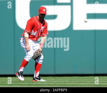 23. September 2012 - Washington, DC, USA - der Washington Nationals-Center-Feldspieler Bryce Harper (34) verliert einen Ball in der Sonne, der von Milwaukee Brewers getroffen wurde, verlor Ryan Braun im vierten Inning im Nationals Park in Washington, D.C., Sonntag, 23. September 2012. Der Ball fiel für einen Treffer ein. (Kreditbild: © Chuck Myers/MCT/ZUMAPRESS.com) Stockfoto