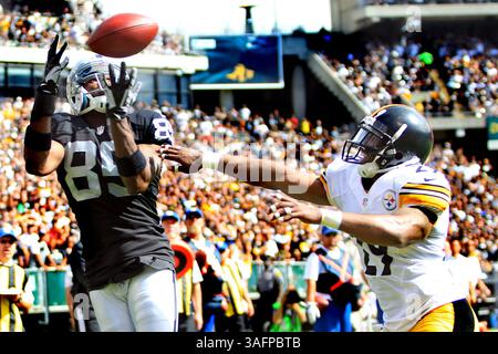 23. September 2012 - Oakland, CA, USA - Oakland Raiders Wide Receiver Darrius Heyward-Bey (85) holt am Sonntag, 23. September 2012 in Oakland, Kalifornien, einen 3-Yard-Touchdown-Pass von Quarterback Carson Palmer (3) gegen Pittsburgh Steelers in der ersten Halbzeit Ryan Mundy (29) ein. (Kreditbild: © Ray Chavez/MCT/ZUMAPRESS.com) Stockfoto