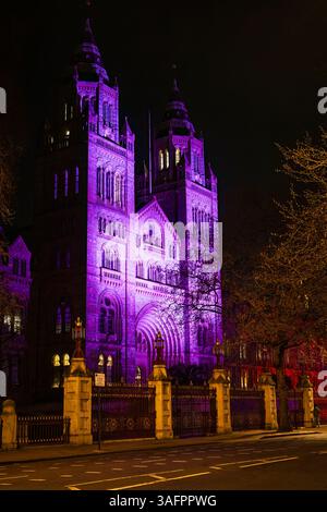 Die Vorderseite des berühmten Waterhouse Building of the Natural History Museum in der Cromwell Road, South Kensington, London SW7, beleuchtet bei Nacht Stockfoto