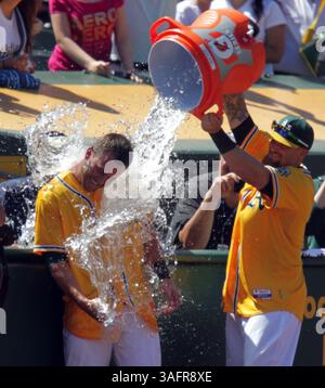 18. Juli 2012 - Oakland, CA, USA - Jonny Gomes (31) taucht Wasser auf Brandon Hicks (18) ein, um seinen Heimlauf gegen Michael Kirkman (50) der Texas Rangers im neunten Inning im O.Co Coliseum in Oakland, Kalifornien, am Mittwoch, 18. Juli 2012 zu feiern. Athletics gewann mit 4:3. (Bild: © Anda Chu/Oakland Tribune/MCT/ZUMAPRESS.com) Stockfoto
