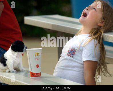 BILDUNTERSCHRIFT: (06/14/2006 ZEPHYRHILLS) (1 von 1) die siebenjährige Kali Patterson (CQ) ist sehr gelangweilt, als sie heute Abend während des Softballtrainings in Zephyrhills auf ihre ältere Schwester wartet. Laut ihrer Mutter Patsy (CQ von älterer Tochter) ist Kali immer gelangweilt, wenn sie ihre ältere Schwester beim Üben beobachtet. Der Welpe wurde nicht benannt und irgendwann sagte Kali, dass er den Welpen seit zwei Jahren besitzt. Kali spielt auch Softball, aber an einem anderen Tag. Sie brachte den Welpen mit, um einen zukünftigen Besitzer zu finden. Die Familie hat drei fünf Wochen alte Shih Tzu und Chihuahua Mix Welpen, die frei sind, um gut zu hom Stockfoto