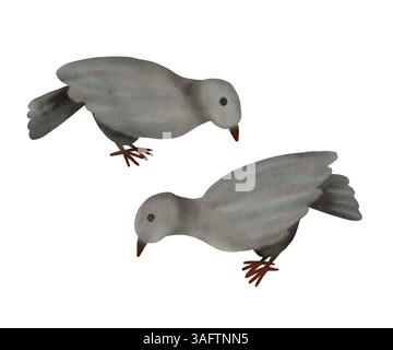 Stilisierte graue Vögel, die absolut perfekt für eine Vielzahl von Designprojekten, Illustrationen und Naturthemen sind. Isolierte handgezeichnete Aquarellobjekte auf weißem Hintergrund. Stockfoto