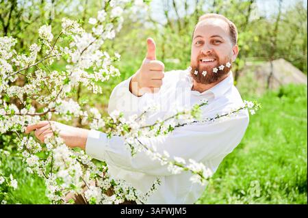 Mann-Allergie genießt nach Behandlung von Saisonallergie im Frühjahr. Mann mit kleinen weißen Blumen im Bart, lächelnd, mit Daumen nach oben vor dem Blütenbaum. Frühjahrsallergiekonzept Stockfoto