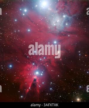 16. Dezember 2008 - Kegelnebel, Orion Arm - dieses Farbbild der Region NGC 2264, einer Himmelsregion, die die glitzernden blauen Kugeln des Weihnachtsbaumsternhaufens und den Kegelnebel umfasst, wurde aus Daten erstellt, die mit vier verschiedenen Filtern (B, V, R und H-alpha) mit dem Wide Field Imager am La Silla Observatory der ESO aufgenommen wurden, 2400 m hoch in der Atacama-Wüste Chiles in den Ausläufern der Anden Anden Ausläufern. Das Bild zeigt eine Raumregion mit einem Durchmesser von etwa 30 Lichtjahren. (Kreditbild: © ESO/ZUMAPRESS.com) Stockfoto