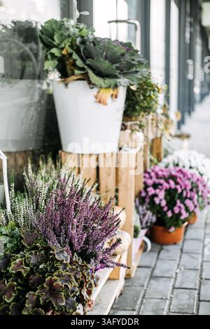 Auf dem Bürgersteig finden Sie Topfblumen und grüne Gestecke vor einem lokalen Einzelhandelsgeschäft. Lokale Einzelhandelsgeschäfte, Bürgersteig Charme, botanische Ausstellung, klein Stockfoto