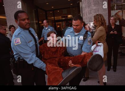 Der PETA-Demonstrant Jen Bizon wird von der Polizei in Washington verhaftet, nachdem sie sich als Kuh verkleidet und sich mit Handschellen an den Eingang des Express-Stores an der 1130 Connecticut Avenue, N.W. Bizon gegen den Verkauf von Lederprodukten durch Express protestierte. (Bild: Washington Times/ZUMAPRESS.com) Stockfoto