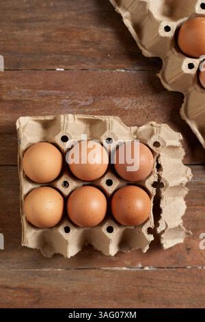 Nahaufnahme brauner Eier in Eierbox, selektiver Fokus Stockfoto