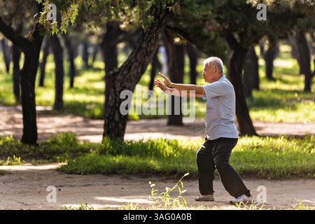 30. Juli 2012 - Peking, China - ein älterer Chinese übt im Sommer in Peking, China, Tai Chi Kampfsportübungen am frühen Morgen im Tempel des Himmels aus (Bild: © Richard Ellis/ZUMAPRESS.com) Stockfoto