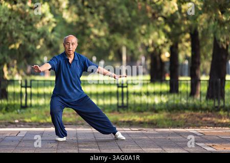 30. Juli 2012 - Peking, China - ein älterer Chinese übt im Sommer in Peking, China, Tai Chi Kampfsportübungen am frühen Morgen im Tempel des Himmels aus (Bild: © Richard Ellis/ZUMAPRESS.com) Stockfoto