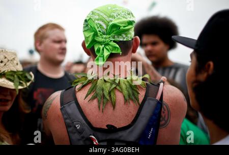19. August 2012 - Seattle, Washington, USA - die Menschen nehmen an Hempfest in Seattle Teil. Die jährliche Veranstaltung ist das größte Marihuana-Festival des Landes. (Bild: © Nick Adams/ZUMAPRESS.com) Stockfoto