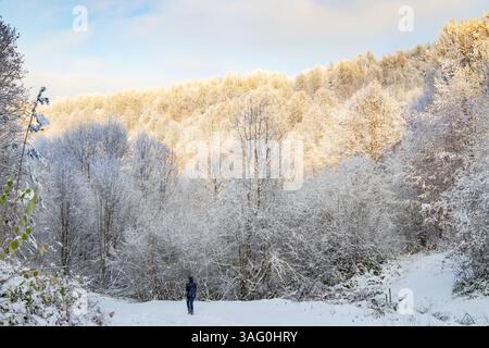 Eine Einzelfigur in dunkler Kleidung spaziert auf einem verschneiten Pfad durch einen Wald aus schneebedeckten Bäumen unter teilweise bewölktem Himmel. Stockfoto